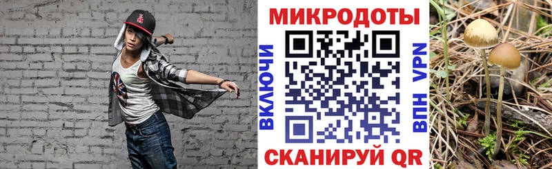 ОМГ ОМГ как зайти  Прокопьевск  нарко площадка формула  Галлюциногенные грибы Psilocybe 