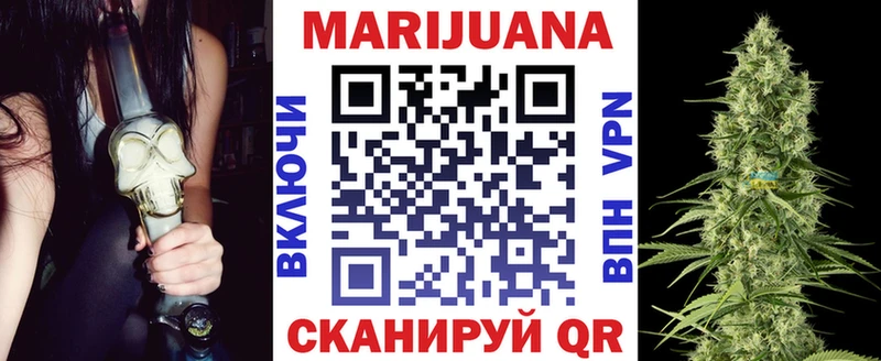 Бошки марихуана сатива Прокопьевск